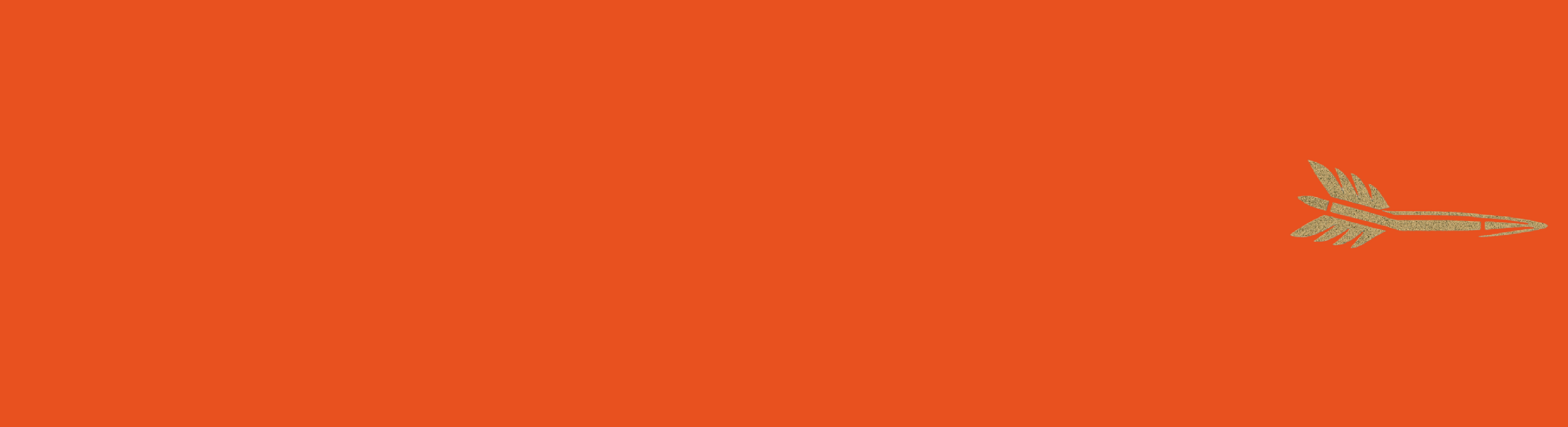 Solid Color Arrow Wraps