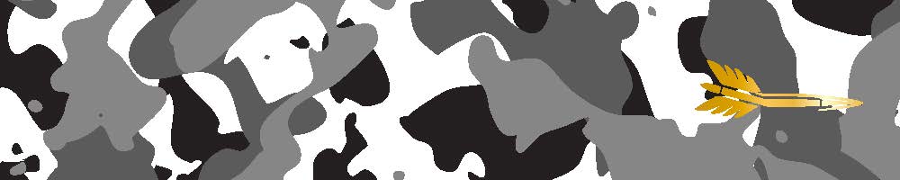 Camouflage Arrow Wraps