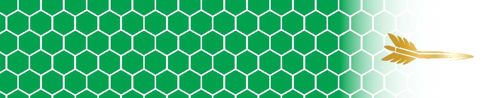 Honeycomb Arrow Wraps