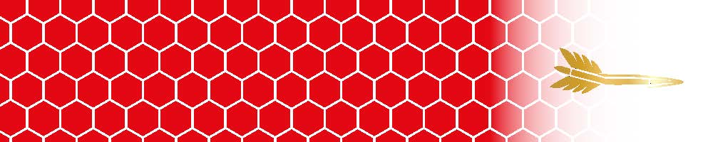 Honeycomb Arrow Wraps
