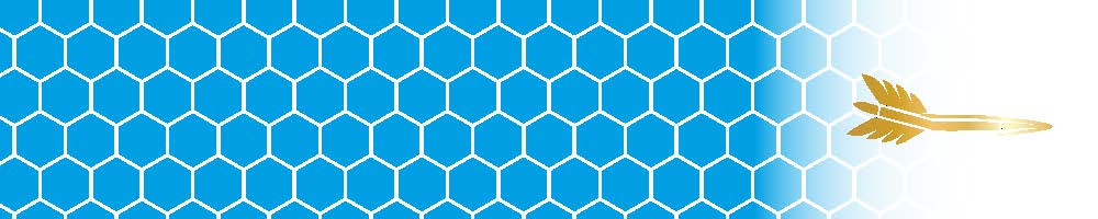 Honeycomb Arrow Wraps