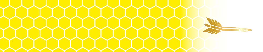 Honeycomb Arrow Wraps