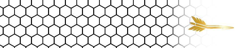 Honeycomb Arrow Wraps
