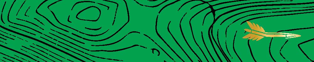 Topographic (The Catskills) Arrow Wraps