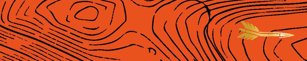 Topographic (The Catskills) Arrow Wraps