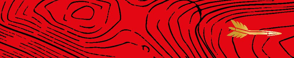 Topographic (The Catskills) Arrow Wraps