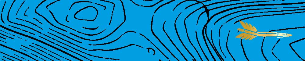 Topographic (The Catskills) Arrow Wraps